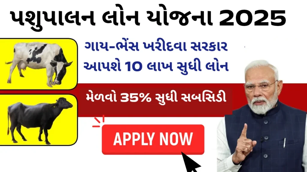 Pashupalan Loan Yojana: ગાય-ભેંસ ખરીદવા સરકાર આપશે 10 લાખ સુધી લોન, મેળવો 35% સુધી સબસિડી