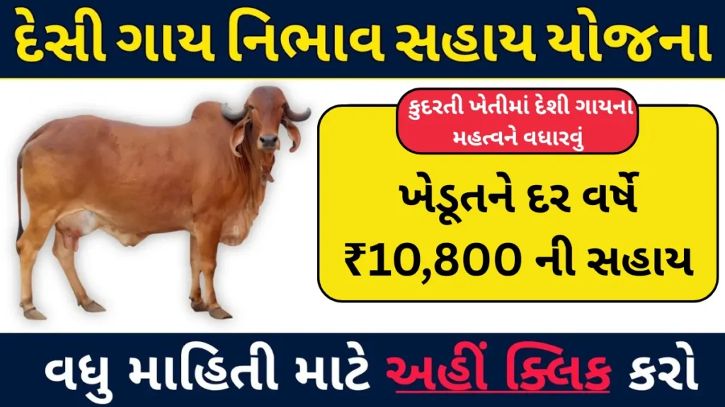 Gay nibhav kharch yojana gujarat